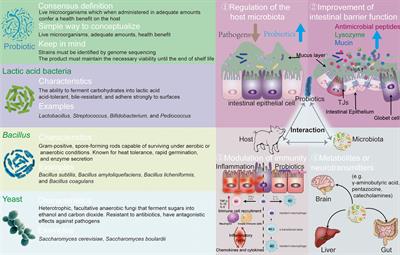 Probiotics in piglet: from gut health to pathogen defense mechanisms